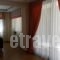 Oneiro Studios_best prices_in_Hotel_Central Greece_Evia_Edipsos