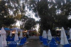 Camping Drepanos_best prices_in_Hotel_Epirus_Thesprotia_Igoumenitsa