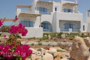 Annio Studios_accommodation_in_Hotel_Cyclades Islands_Paros_Paros Rest Areas