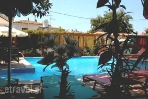 Aegeon Hotel_best deals_Hotel_Aegean Islands_Samos_Karlovasi