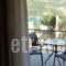 Ilianthos Apartments & Rooms_best prices_in_Room_Ionian Islands_Lefkada_Lefkada's t Areas