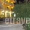 Oneiro Studios_accommodation_in_Hotel_Central Greece_Evia_Edipsos