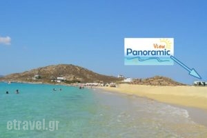 Panoramic View_holidays_in_Hotel_Cyclades Islands_Naxos_Naxos chora