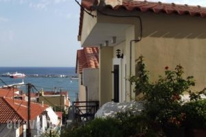 Hera's House_holidays_in_Hotel_Aegean Islands_Samos_Pythagorio