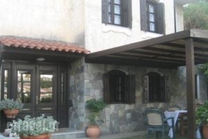 Leventis Studios_holidays_in_Hotel_Aegean Islands_Samos_Karlovasi