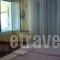 Hotel Akti_holidays_in_Hotel_Central Greece_Fthiotida_Livanates