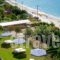 Rosa'S Beach Studios_accommodation_in_Hotel_Ionian Islands_Kefalonia_Vlachata