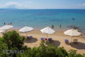 Vassilia_travel_packages_in_Macedonia_Halkidiki_Kassandreia