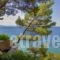 Vassilia_best deals_Hotel_Macedonia_Halkidiki_Kassandreia