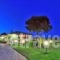 Fragos Garden Studios_accommodation_in_Hotel_Peloponesse_Ilia_Kastro Kylini