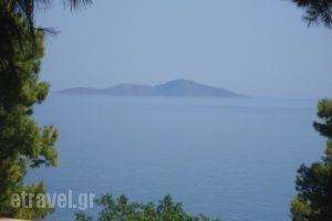 Maria Studios_accommodation_in_Hotel_Sporades Islands_Alonnisos_Patitiri