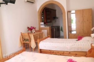 Studios Irene_accommodation_in_Hotel_Dodekanessos Islands_Patmos_Skala