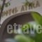 Atira Studios_holidays_in_Hotel_Macedonia_Pieria_Katerini