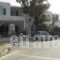 Akteon Hotel_best deals_Hotel_Cyclades Islands_Paros_Paros Chora