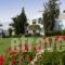 Robinson Club Daidalos_best deals_Hotel_Dodekanessos Islands_Kos_Kos Rest Areas