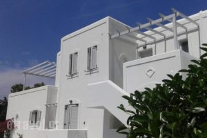 Chrysallis Studios_best prices_in_Hotel_Cyclades Islands_Paros_Paros Chora