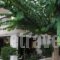 Yiorgos Hotel_best deals_Hotel_Dodekanessos Islands_Kos_Kos Chora