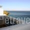 Caldera Studios_best deals_Hotel_Dodekanessos Islands_Astipalea_Livadia