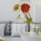 Black Rose Suites_best deals_Hotel_Cyclades Islands_Sandorini_Emborio