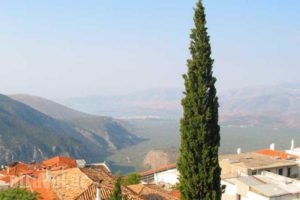 Castri Hotel_lowest prices_in_Hotel_Central Greece_Fokida_Delfi