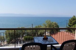 Stefania Hotel_lowest prices_in_Hotel_Central Greece_Evia_Amaranthos