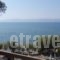 Stefania Hotel_travel_packages_in_Central Greece_Evia_Amaranthos