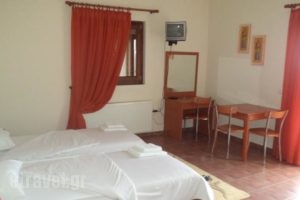 Guest House Ilektra_lowest prices_in_Hotel_Macedonia_Grevena_Samarina