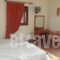 Guest House Ilektra_lowest prices_in_Hotel_Macedonia_Grevena_Samarina