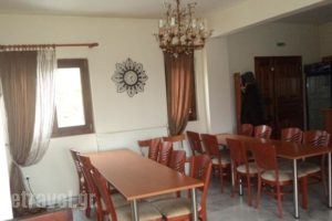 Guest House Ilektra_best prices_in_Hotel_Macedonia_Grevena_Samarina