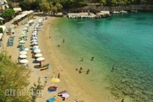 Studios Elena_holidays_in_Hotel_Sporades Islands_Alonnisos_Patitiri