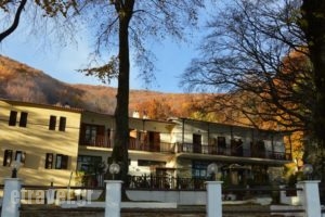 Hotel Hani Zisi_best deals_Hotel_Thessaly_Magnesia_Volos City