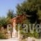 Manoli's House_accommodation_in_Hotel_Crete_Chania_Vamos