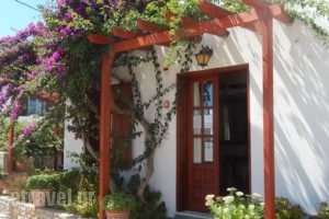 Deidamia Hotel_holidays_in_Hotel_Sporades Islands_Skyros_Linaria