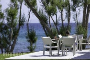 Lakitira Resort_holidays_in_Hotel_Dodekanessos Islands_Kos_Kos Rest Areas