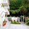 Studio Soti_holidays_in_Hotel_Aegean Islands_Thasos_Thasos Chora