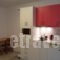 Alpha Studios_best deals_Hotel_Cyclades Islands_Naxos_Naxos chora