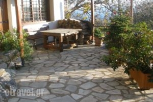 Seirios_lowest prices_in_Hotel_Thessaly_Magnesia_Vizitsa