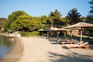 Serenity Estate_travel_packages_in_Macedonia_Halkidiki_Chalkidiki Area