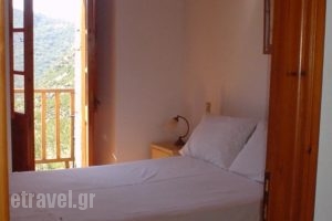 Theoni'S House_accommodation_in_Hotel_Peloponesse_Arcadia_Stemnitsa