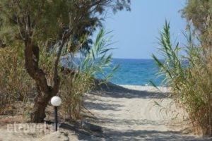 Camping Elizabeth_holidays_in_Hotel_Crete_Rethymnon_Rethymnon City