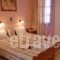 Golden Beach Studios_best prices_in_Hotel_Cyclades Islands_Naxos_Naxos chora