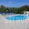 Sami View_best prices_in_Hotel_Ionian Islands_Kefalonia_Fiskardo