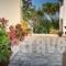 Olga Studios_best deals_Hotel_Ionian Islands_Zakinthos_Zakinthos Chora