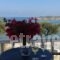 Roussos Beach Hotel_holidays_in_Hotel_Cyclades Islands_Paros_Paros Chora