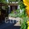 Zaira Studios_holidays_in_Hotel_Aegean Islands_Lesvos_Skala Eressou