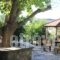 I.N.Kazantzakis_best deals_Hotel_Crete_Heraklion_Zaros