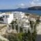 Papafragas Studios_best prices_in_Hotel_Cyclades Islands_Milos_Adamas