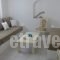 Cleopatra Seaside Homes_best prices_in_Hotel_Cyclades Islands_Paros_Paros Chora