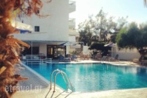 Regina Studios & Hotel_holidays_in_Hotel_Dodekanessos Islands_Karpathos_Karpathos Chora