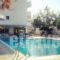 Regina Studios & Hotel_holidays_in_Hotel_Dodekanessos Islands_Karpathos_Karpathos Chora